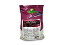 SHINE DARK BUTTONS Caja x 10Kg